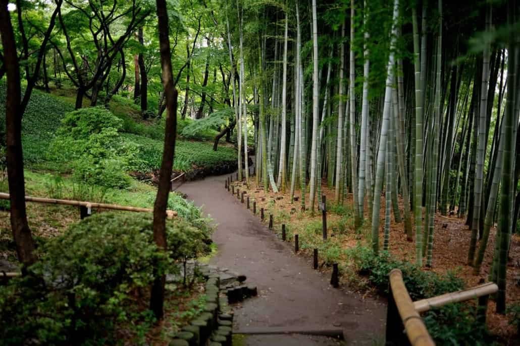 🌳 도노가야토 정원 (殿ヶ谷戸庭園) 이미지 4